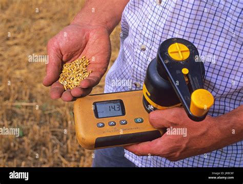 Flour Moisture Meter exporting|wheat and flour testing.